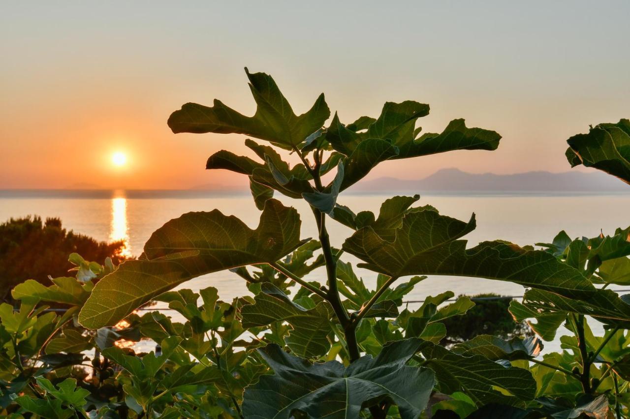 Bed and breakfast Albeca Boutique - Relais De Charme Sul Mare 3*